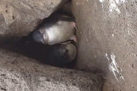 Food Tour Melbourne - St Kilda - Tourism Cairns 3