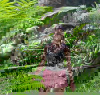 Full-Day Guided Hinterland Adventure Tour in Queensland - Tourism Cairns