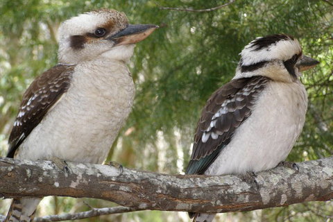 Stradbroke Island 4WD Day Trip From Brisbane - Tourism Cairns 3