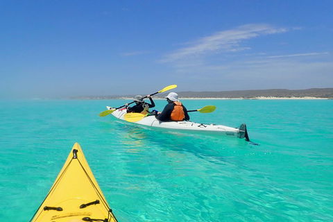 Lagoon Explorer - Ningaloo Reef Full-Day Kayaking And Snorkeling Adventure - Tourism Cairns 0