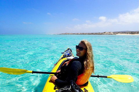 Lagoon Explorer - Ningaloo Reef Full-Day Kayaking And Snorkeling Adventure - Tourism Cairns 1