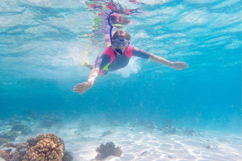 Lagoon Explorer - Ningaloo Reef Full-Day Kayaking And Snorkeling Adventure - Tourism Cairns 5