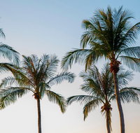 Darwin City Sightseeing Tour - Tourism Cairns