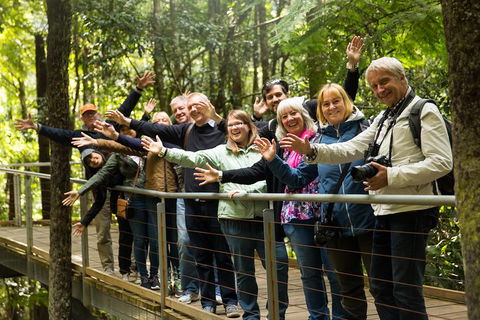 All Inclusive Blue Mountains Small-Group Day Trip From Sydney - Tourism Cairns 5