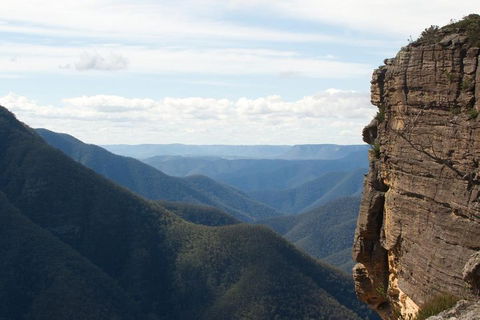 Inside The Greater Blue Mountains World Heritage - A Private Wildlife Safari Overnight - Tourism Cairns 4