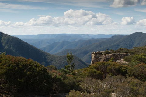 Inside The Greater Blue Mountains World Heritage - A Private Wildlife Safari Overnight - Tourism Cairns 5