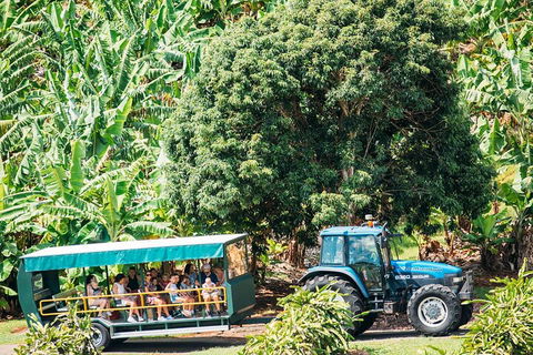 Northern Rivers Full Day Wine Tour - Tourism Cairns 1