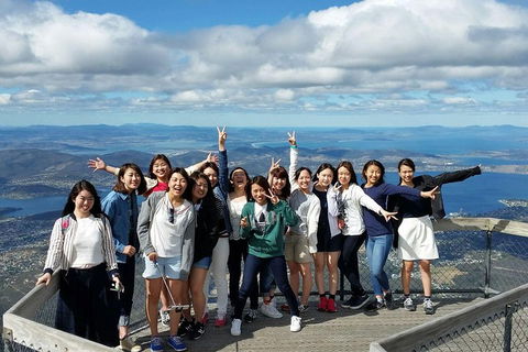 Mt Field National Park Active Day-Trip Including Bonorong And Mt Wellington - Tourism Cairns 2