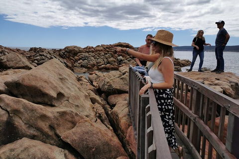 Margaret River Impression Day Tour From Perth - Tourism Cairns 4