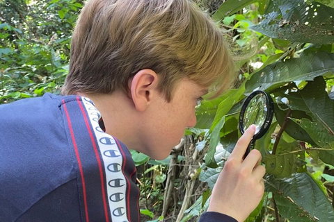 Let's Go Buggin & Let's Go Shroomin - Photography & Nature Walking Tours - Tourism Cairns 3