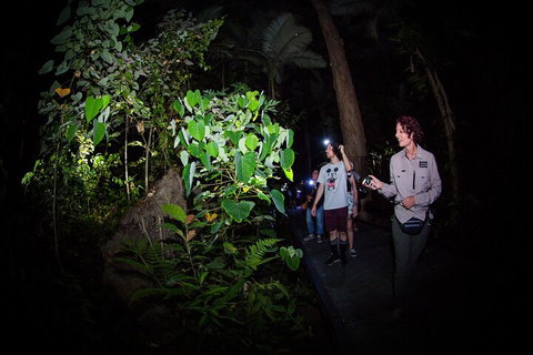 Let's Go Buggin & Let's Go Shroomin - Photography & Nature Walking Tours - Tourism Cairns 4