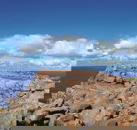 4 Day Tour Albany Margaret River Valley of the Giants TreeTop Walk from Perth - Tourism Cairns