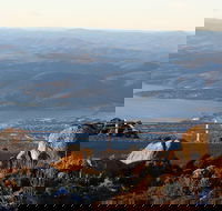 Mt. Wellington Bonorong and Richmond Day Tour from Hobart - Tourism Cairns