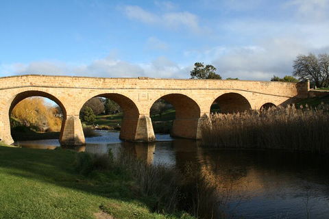 Mt. Wellington, Bonorong And Richmond Day Tour From Hobart - Tourism Cairns 4