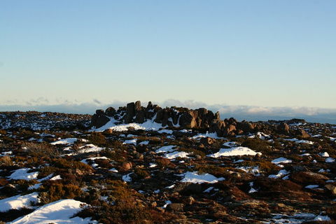Mt. Wellington, Bonorong And Richmond Day Tour From Hobart - Tourism Cairns 5