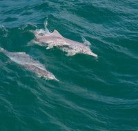 North Stradbroke Island Private Tour with Pickup - Tourism Cairns