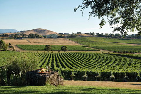 Small Group 6 Guests: Ultimate Yarra Valley Food And Wine - Mercedes Van - Tourism Cairns 4