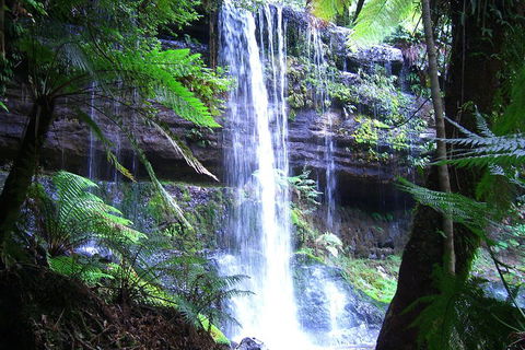 Mt Field National Park And Russell Falls From Hobart - Tourism Cairns 0