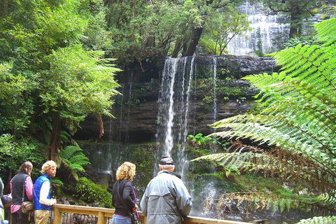 Mt Field National Park And Russell Falls From Hobart - Tourism Cairns 1