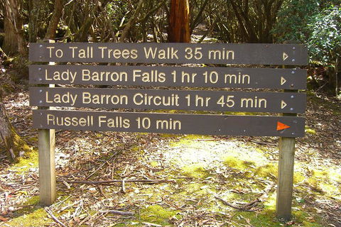 Mt Field National Park And Russell Falls From Hobart - Tourism Cairns 2