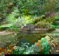 Hobart Half-Day Sightseeing Coach Tram Tour - Tourism Cairns
