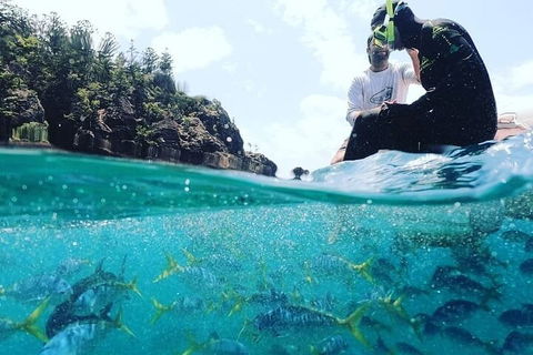 2 Night Small Group Whitsundays Sailing Adventure Aboard Mandrake - Tourism Cairns 5