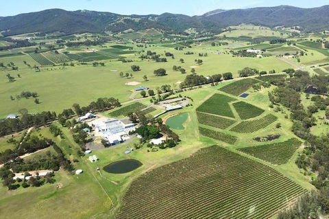 Helicopter Tour Of Hunter Valley In New South Wales With Lunch - Tourism Cairns 4