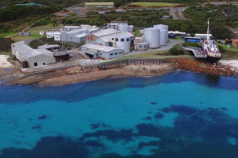 Albany's Whale Story - Tourism Cairns 4