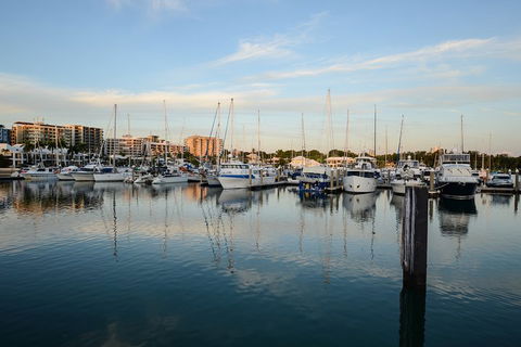 Darwin Shore Excursion: Hop-on Hop-off Bus Tour - Tourism Cairns 2