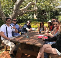 Private Full Day Wine Tour from the Gold Coast to Tamborine Mountain - Tourism Cairns