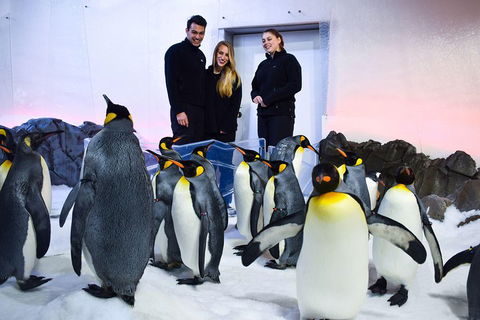 Penguin Passport At SEA LIFE Melbourne Aquarium - Tourism Cairns 4