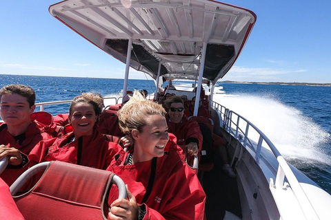 Adventure Rottnest Tour With Ferry & Adventure Cruise From Perth Or Fremantle - Tourism Cairns 0