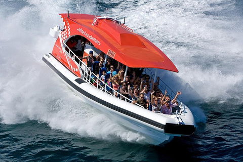 Adventure Rottnest Tour With Ferry & Adventure Cruise From Perth Or Fremantle - Tourism Cairns 2