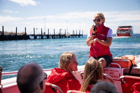Adventure Rottnest Tour With Ferry & Adventure Cruise From Perth Or Fremantle - Tourism Cairns 4