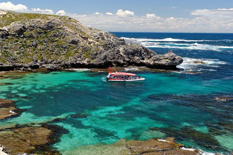 Adventure Rottnest Tour With Ferry & Adventure Cruise From Perth Or Fremantle - Tourism Cairns 5