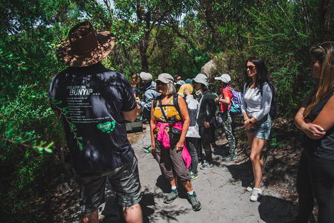 Wilsons Promontory Day Trip From Melbourne - Tourism Cairns 2