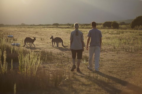 Wilsons Promontory Day Trip From Melbourne - Tourism Cairns 5