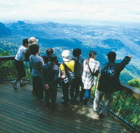 Springbrook National Park  Gold Coast Full Day Luxury Tour from Brisbane - Tourism Cairns