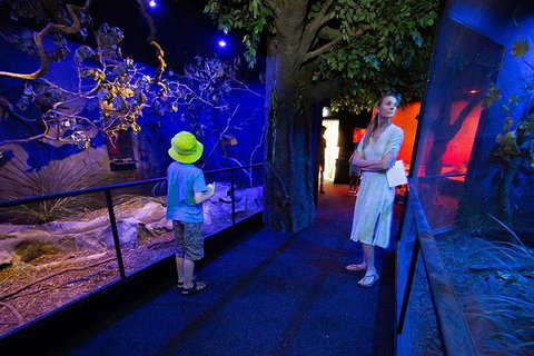 Wildlife Habitat Port Douglas - Tourism Cairns 4