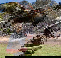 One Day Kangaroo Island Sip  See tour with return ferry transfers from Adelaide - Tourism Cairns