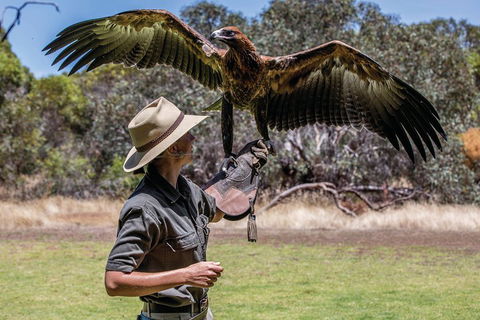 One Day Kangaroo Island Sip & See Tour With Return Ferry Transfers From Adelaide - Tourism Cairns 0