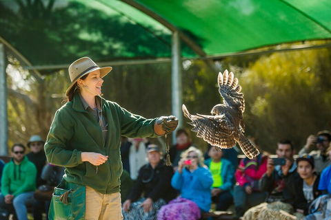 One Day Kangaroo Island Sip & See Tour With Return Ferry Transfers From Adelaide - Tourism Cairns 3