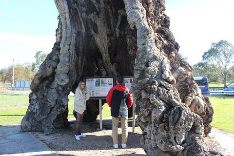 Barossa And Hahndorf Day Trip From Adelaide Including Wine Tasting And Lunch - Tourism Cairns 1
