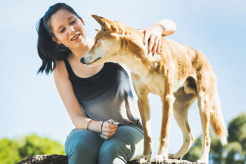 Moonlit Sanctuary Wildlife Conservation Park Daytime General Entry Ticket - Tourism Cairns 5