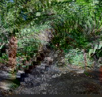 Adelaide to Melbourne 3-Day Trip through Grampians and Great Ocean Road - Tourism Cairns