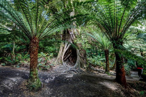 Adelaide To Melbourne 3-Day Trip Through Grampians And Great Ocean Road - Tourism Cairns 0