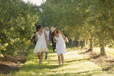 Yarra Valley Wine Tour With Local Harvest Tastings From Melbourne - Tourism Cairns 0