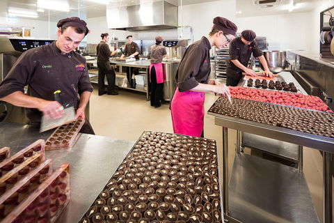 Yarra Valley Wine Tour With Local Harvest Tastings From Melbourne - Tourism Cairns 5