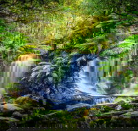 Day Tour in Mt. Field Mt. Wellington Bonorong Wildlife Sanctuary and Richmond - Tourism Cairns