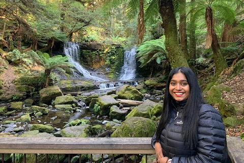 Day Tour In Mt. Field, Mt. Wellington, Bonorong Wildlife Sanctuary And Richmond - Tourism Cairns 5